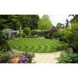 Britan's Best Lawn