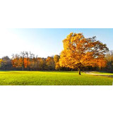 Autumn / Winter Fertiliser