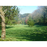 Lawn Care & Garden Machinery Maintenance