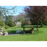 November Lawn Care "Top Tips"