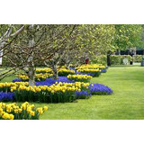 Spring is Around the Corner