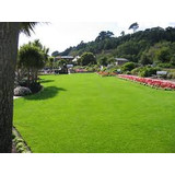 Organic Based Weed & Feed WIth Moss Killer - Now In Stock