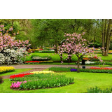 Spring Is All But Upon Us