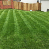 STRIPES ON THE LAWN - HOW HARD IS IT REALLY ?