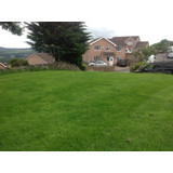 Customers Lawns - Andrew Morris