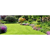 AND WITH SPRING JUST ABOUT UPON US.....