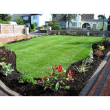 SEPTEMBER LAWN TREATMENT