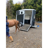 FOR SALE - SECOND HAND IFOR WILLIAMS HB506 HORSE BOX / TRAILER